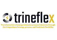 trineflex project