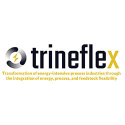 trineflex logo